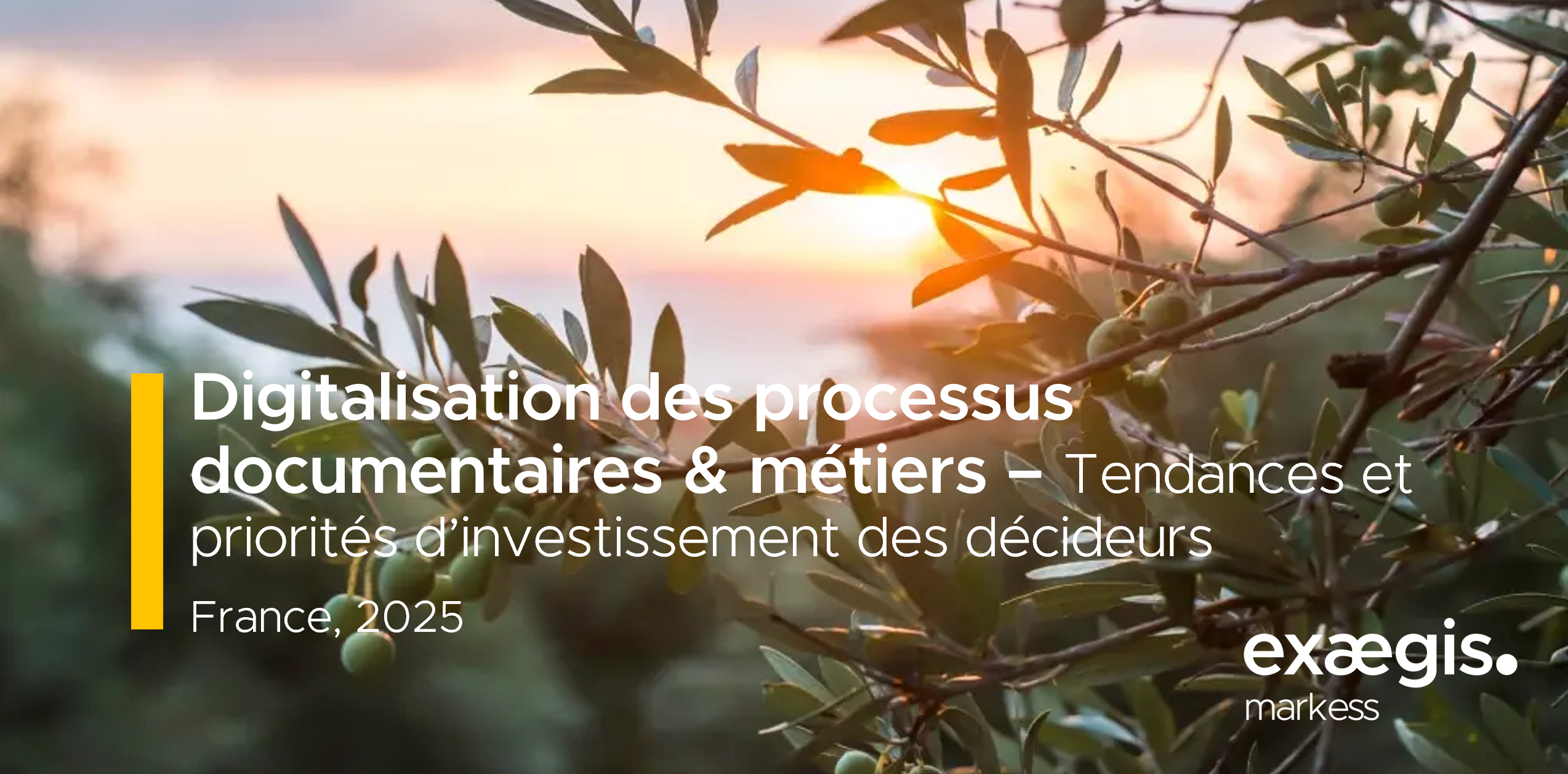 flow_visuel_tendances-sptdm