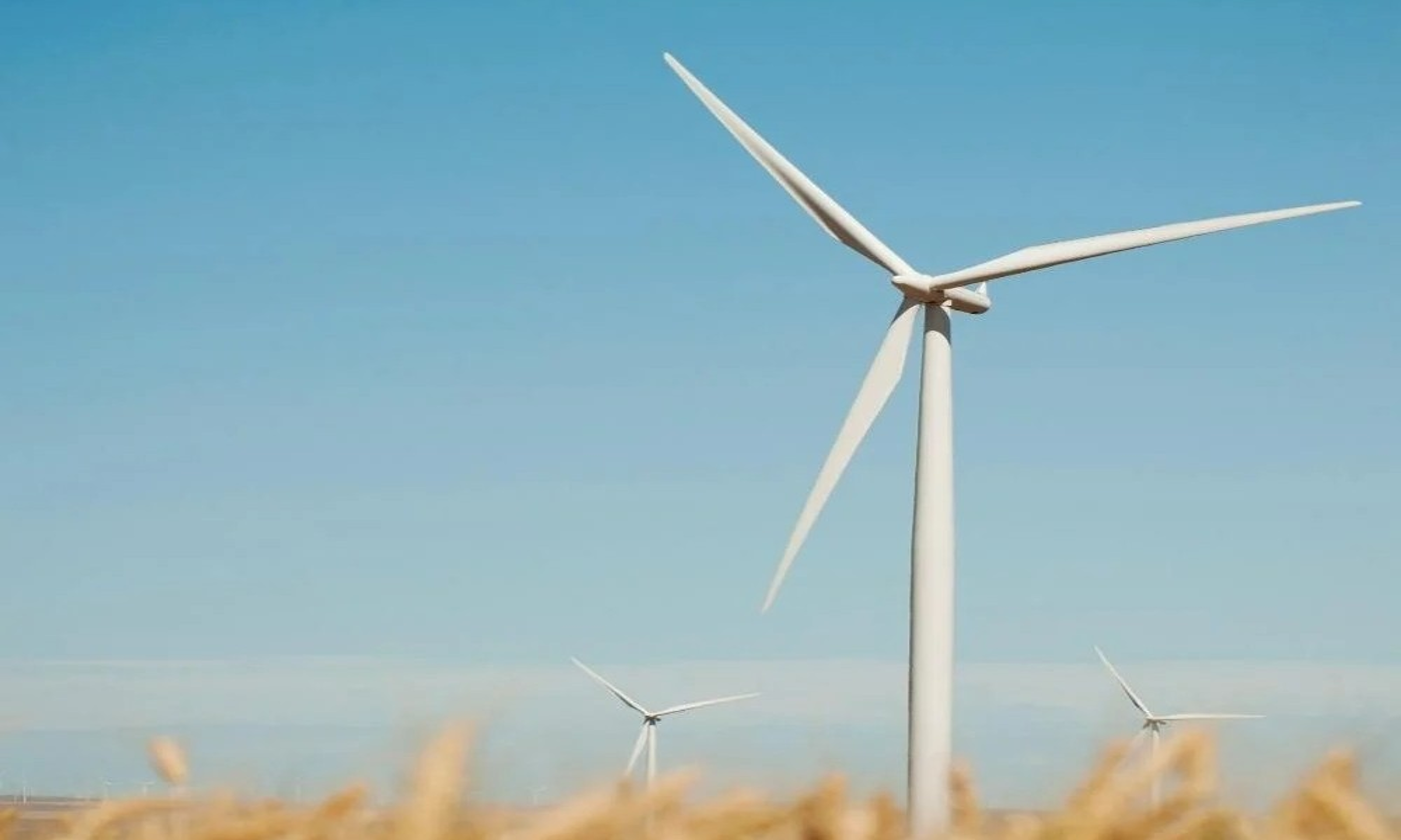 blueprint reporting csrd vsme 2025