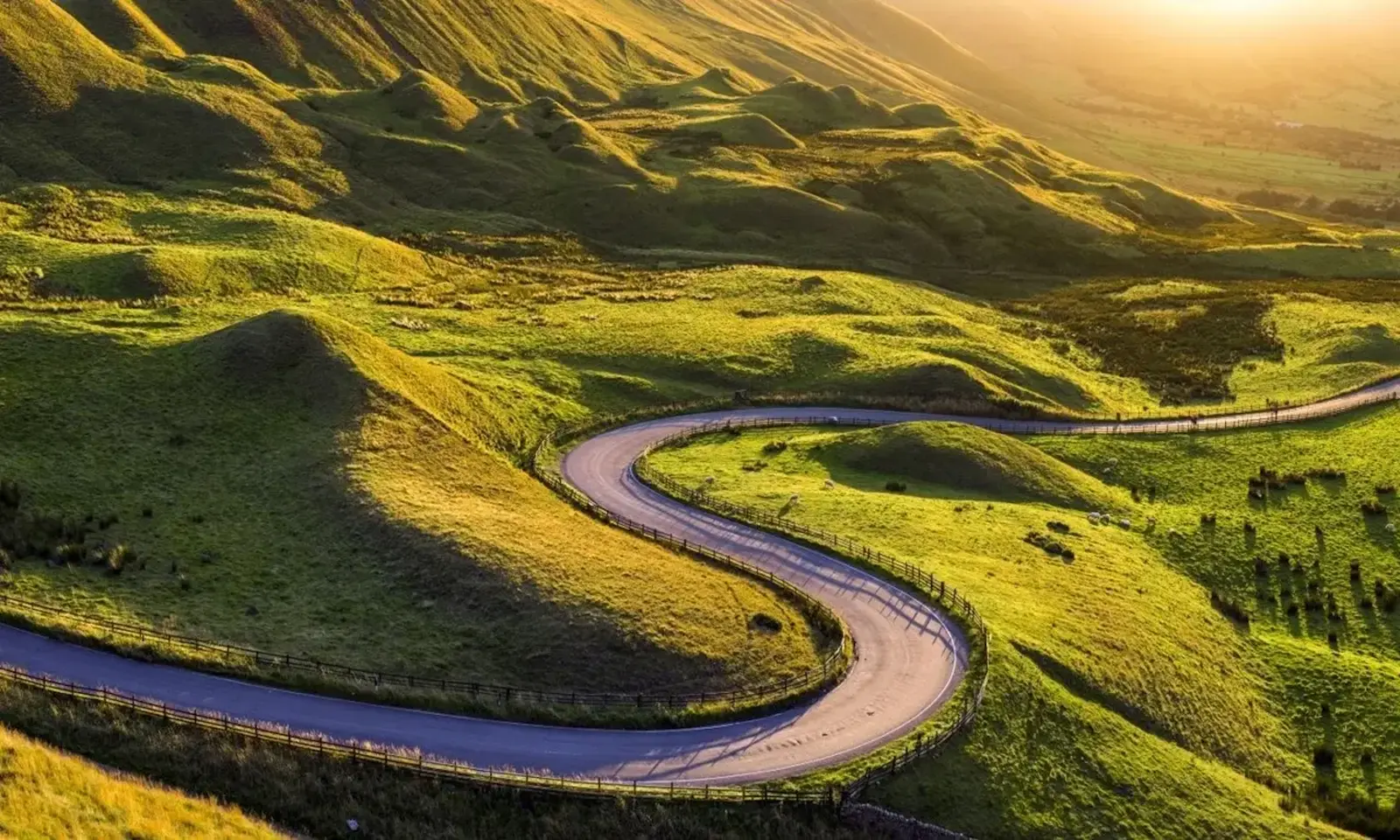 données de marché flow 2025