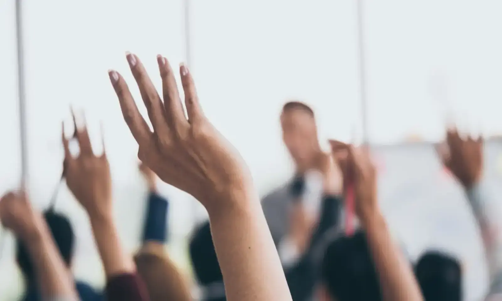 focus marché du vote électronique 2024 flow